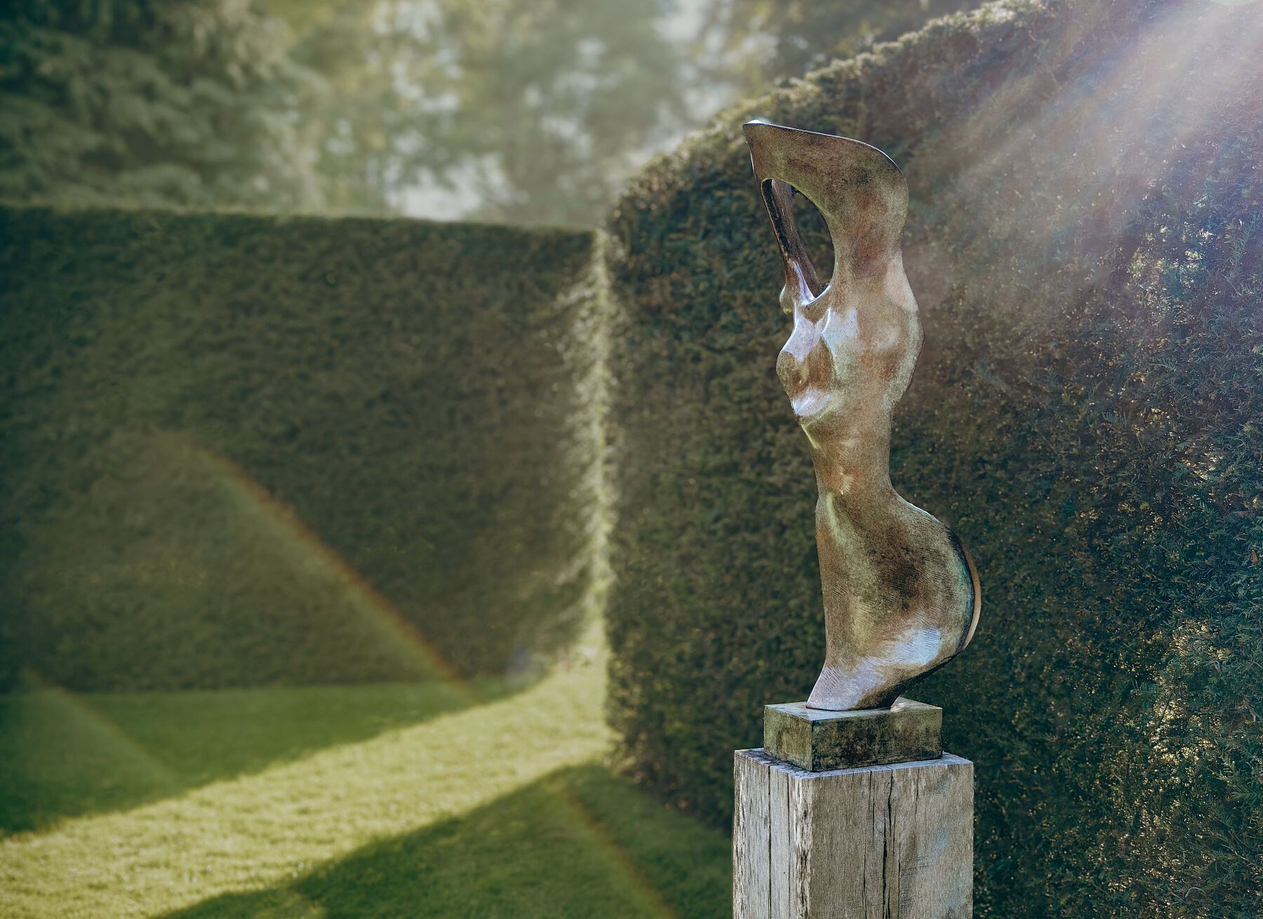 16 - Nicola Godden- Bone Form -Sculptures-Aug-2023-_0690-Edit copy